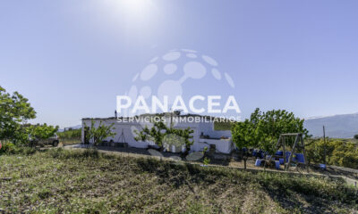 DSC0254-1