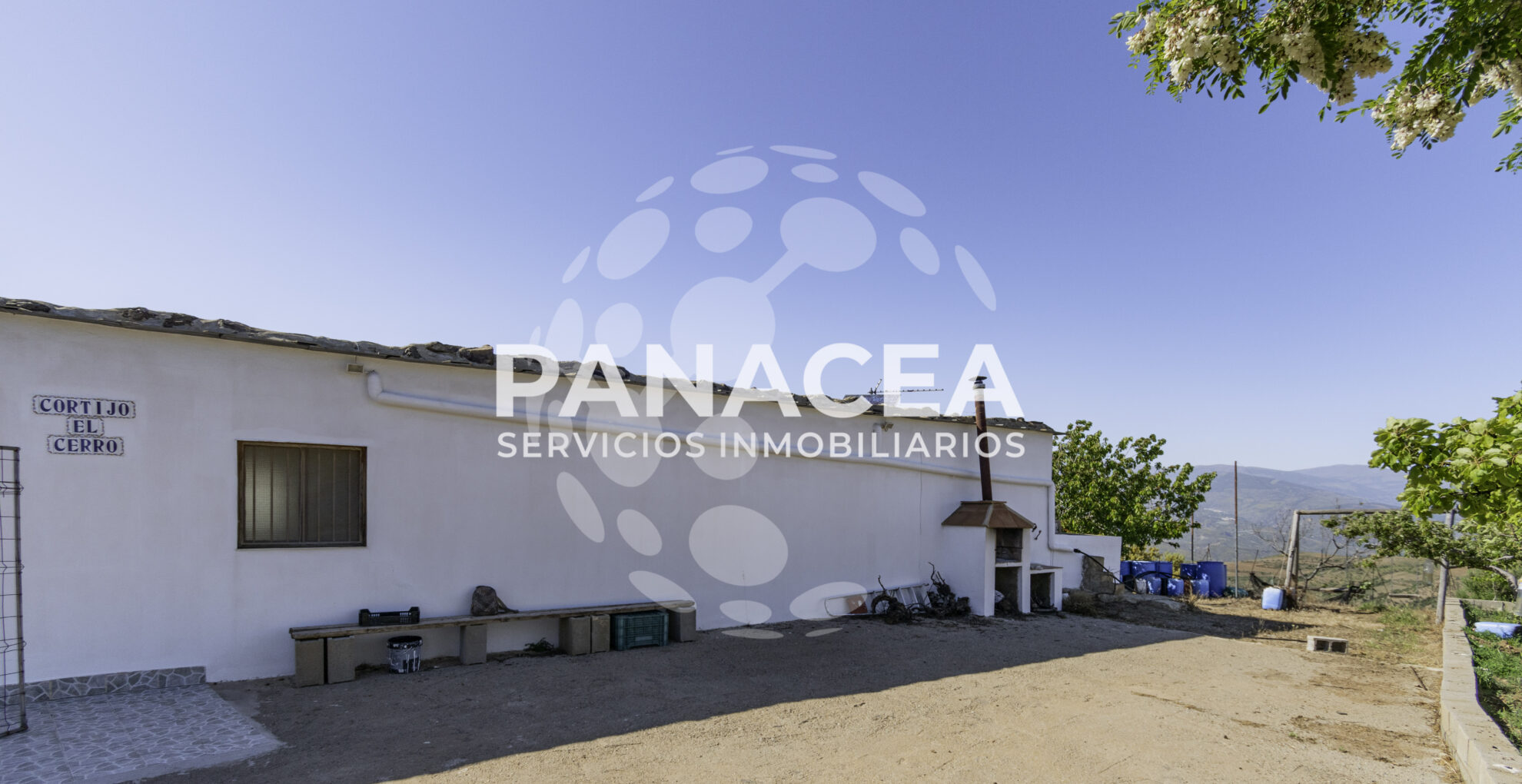 DSC0292-1