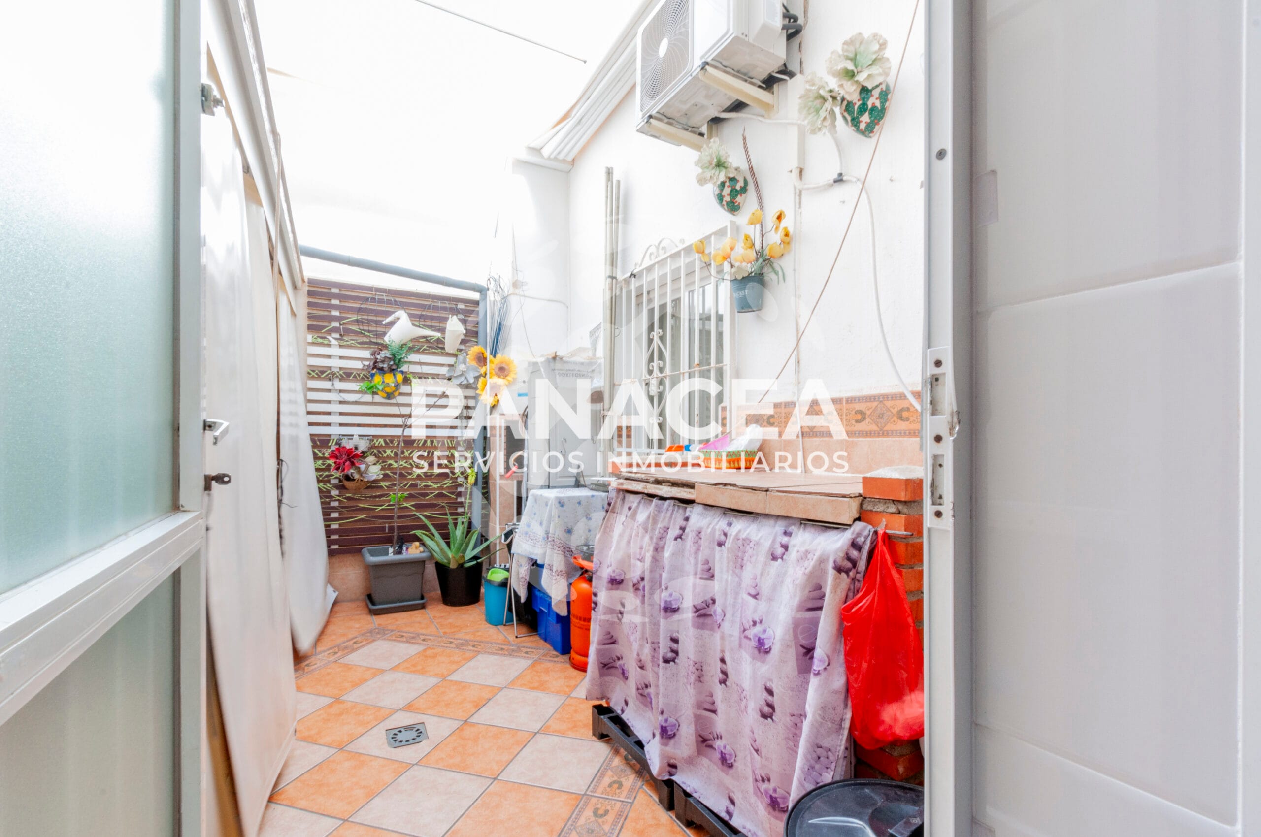 DSC0095-1